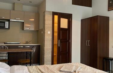 W Pieninach studio - Photo 2