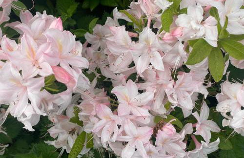 Garden Studio for Two - Foto 8