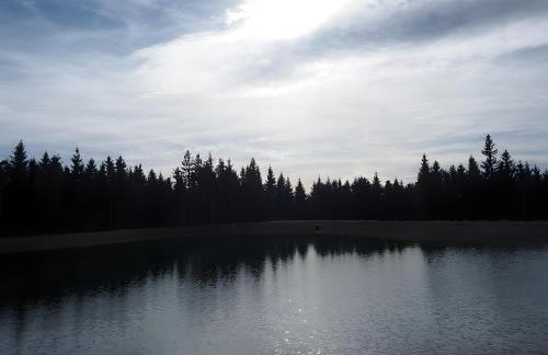 Ferienwohnung Bergahorn - Photo 22