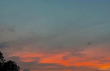 Lieblingsplatz - Foto 13