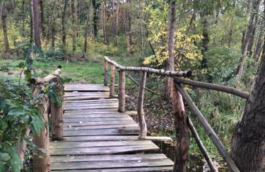 Ferienhaus am Harkebrügger See - Foto 33