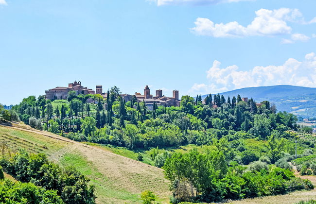 1 bedroom Apartment in Certaldo with swimming pool and garden - Photo 28