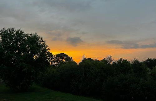 Le Nid du Teich - Photo 10