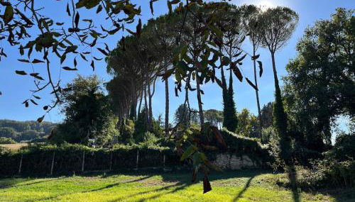 Villa with Garden near Rome for Groups & Families - Foto 5