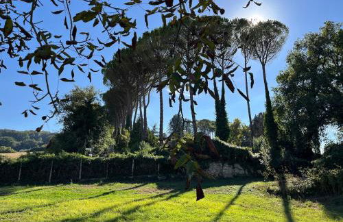 Villa with Garden near Rome for Groups & Families - Foto 5