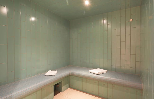 3 bedroom Apartment in Les Deux Alpes with swimming pool and garden - Photo 13