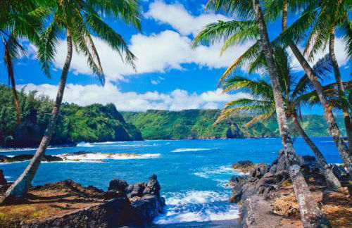 Beautiful Condo at Kihei Ali'i Kai, Close to Beach - Foto 124