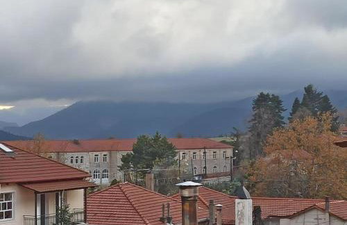 Urban Mountain House - Foto 44