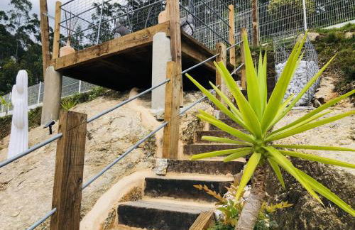 Veiga da Fraga - Foto 19