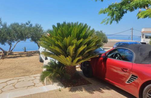 Apartments Gabriela - Photo 15