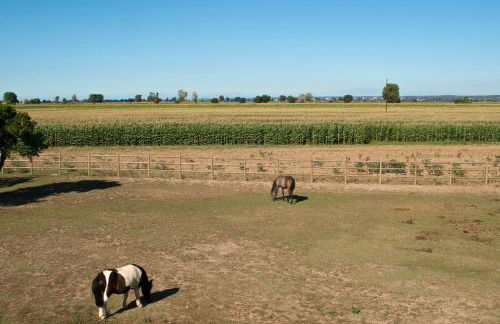Quinta da Gafaria - Foto 29