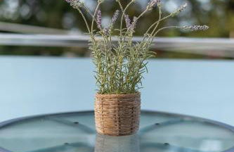 Comfortable 3-Bedroom Seaside Maisonette - Photo 25