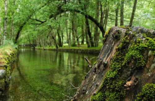 Chalé Zimbro, Serra da Estrela, Penhas da Saúde - Foto 50