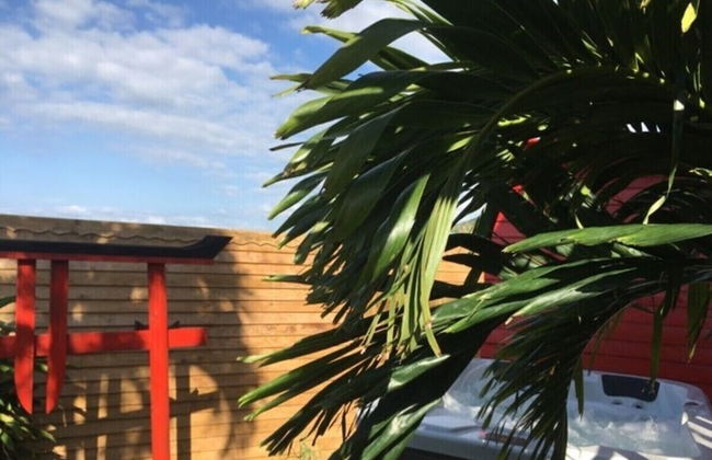 Piton Bungalows Ecolodges - Foto 5