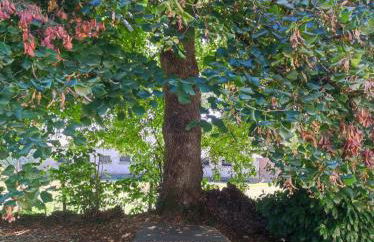 Gite du Dolmen classé 3 épis - Photo 35