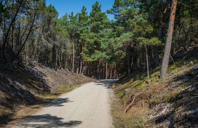 2 bedroom House in Choczewo with swimming pool and garden - Photo 19