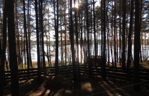 Domek letniskowy "Wiewiórka" - Foto 26