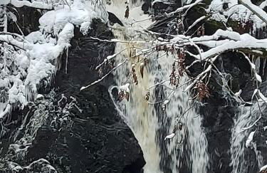 Haus Heidelberg - Foto 65