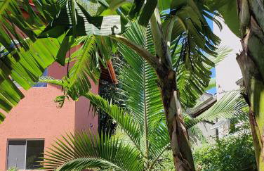 Barra de Ibiraquera, Lagoa Doce, Ibira Bamboo Lodge - Foto 38