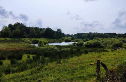 Villa Hennstedt - Photo 18