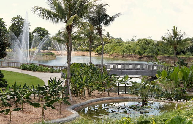 Rare Find! House of Happiness by MIA Zoo & FL Keys - Foto 25