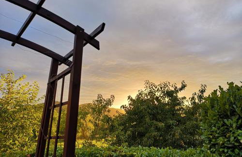 Gästehaus Lavendel an der Mosel - Foto 20