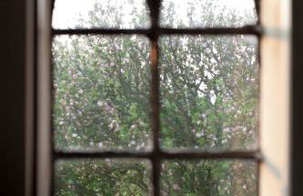 Tede Warft Freistehend am Deich mit Sauna - Foto 22