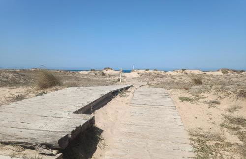 Penthouse Casa Lobo - Photo 18