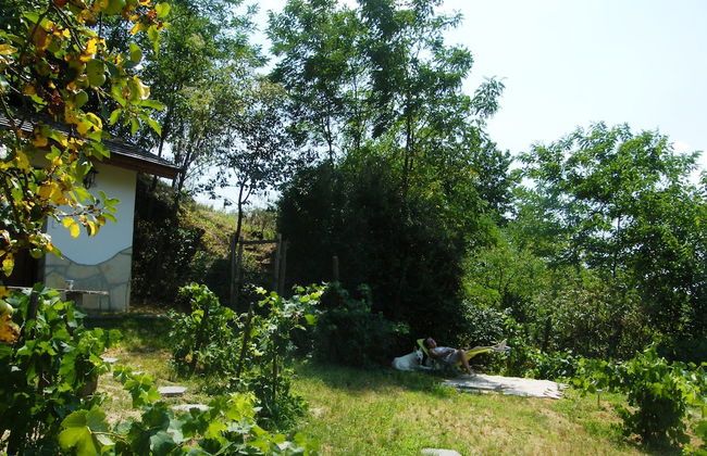 Müllers Ferienhaus Leitenhof - Photo 9