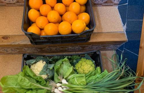 La Garrofera - Foto 22