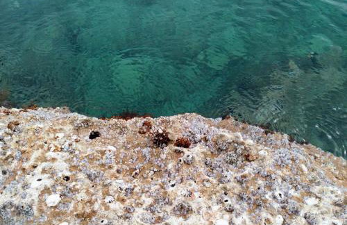 Belle Hélène - Foto 64