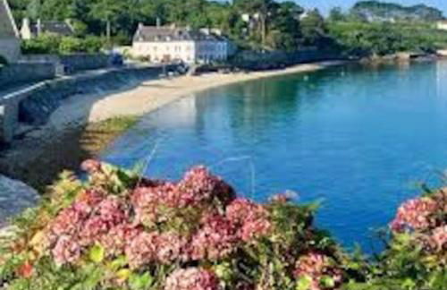 Gîte entre Mer et Abers - Foto 24