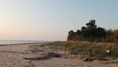 HolidayHome Manetta tra Mare e Natura - Photo 3