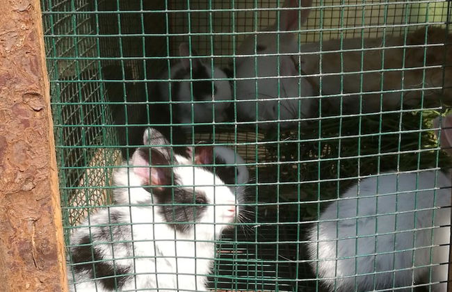 In-Africa Stay - Foto 32