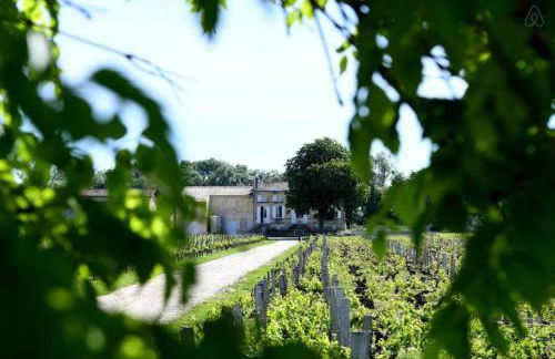Wine Estate with Private Pool, Near River, Saint-Émilion - Foto 38