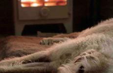 Baytree Cottage Framlingham - Foto 15