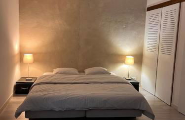 Bayonne centre Grand appartement sur les quais - Foto 11