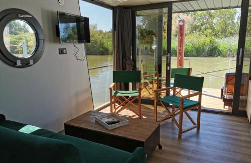 Rêves d'Ô en Camargue, clim réversible, parc naturel - Photo 7