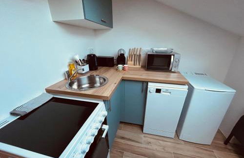 Beautiful comfortable apartment - Geneva - Foto 7