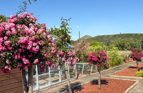 Foreland Cottage - Uk50037 - Foto 15