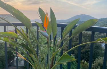 Grande maison à Belgodère Balagne - Foto 23