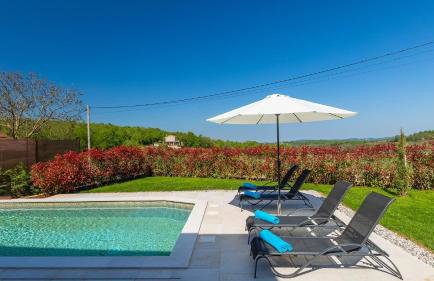Beautiful Villa Onit with outdoor pool in Vizinada - Foto 8