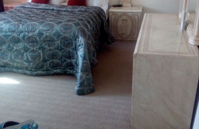 The Royal Princess Garden - Honeydew - Photo 4