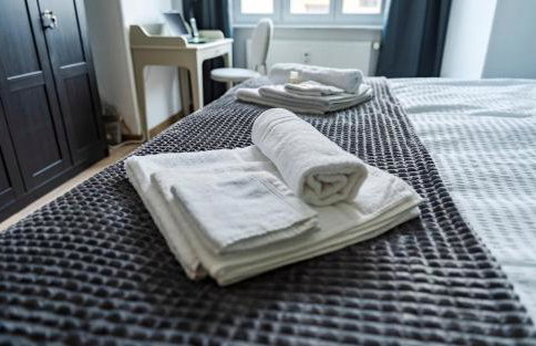 Elbau Residence Uni und Klinik nah - Foto 22