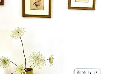 Ampelonas Antiparos - Foto 32