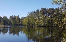 Zielony Domek z jacuzzi - Foto 50