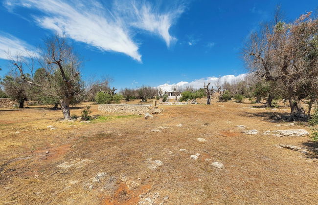 3621 Tenuta Terra del Sole by Perle di Puglia - Foto 24