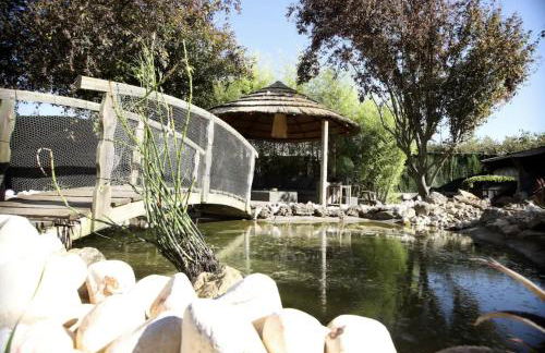 VILLA SAINTE BAUME Piscine Jacuzzi tout confort - Photo 76