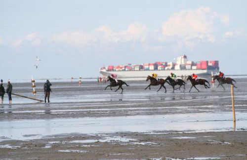Ferienwohnungen Auf der Düne - Foto 49