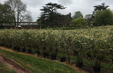 Pet Friendly Manor House Hop Kiln - Foto 15